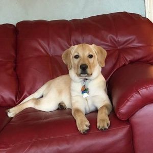 Meet your Posher, Carolyn